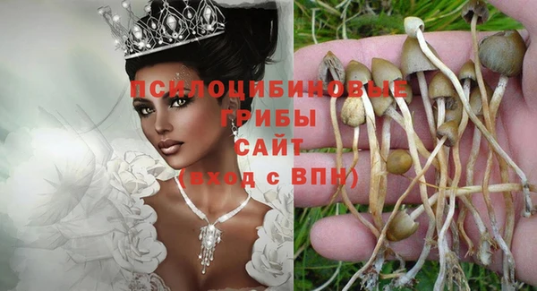 мескалин Алексеевка