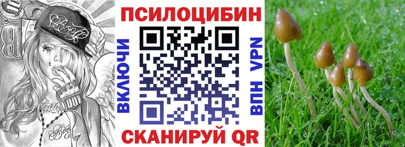 Псилоцибиновые грибы Psilocybine cubensis Чехов